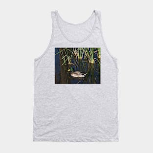 The Duck On The Pond At Papago Park Tank Top